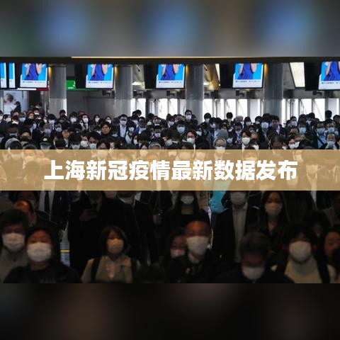 上海新冠疫情最新数据发布