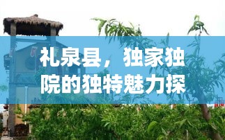 礼泉县，独家独院的独特魅力探索