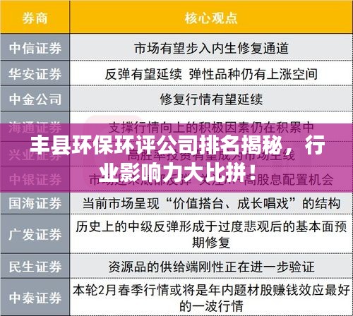丰县环保环评公司排名揭秘，行业影响力大比拼！