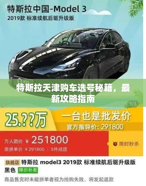 特斯拉天津购车选号秘籍，最新攻略指南