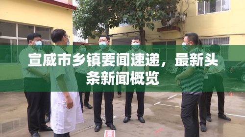 宣威市乡镇要闻速递，最新头条新闻概览