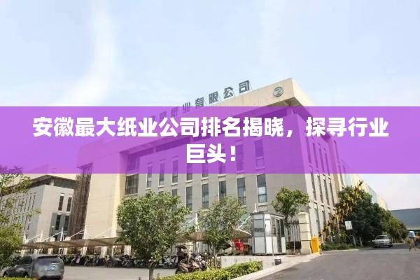 安徽最大纸业公司排名揭晓，探寻行业巨头！