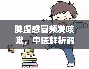 脾虚感冒频发咳嗽，中医解析调理方法大揭秘