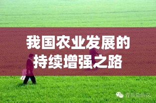 我国农业发展的持续增强之路