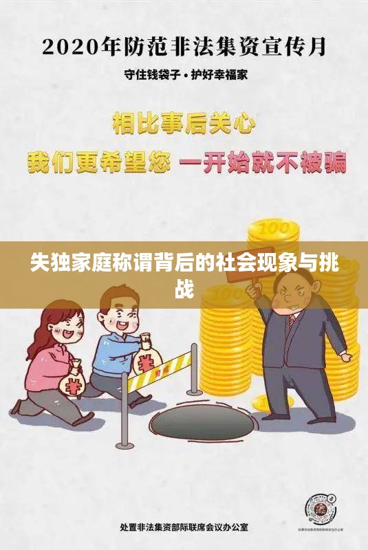 失独家庭称谓背后的社会现象与挑战