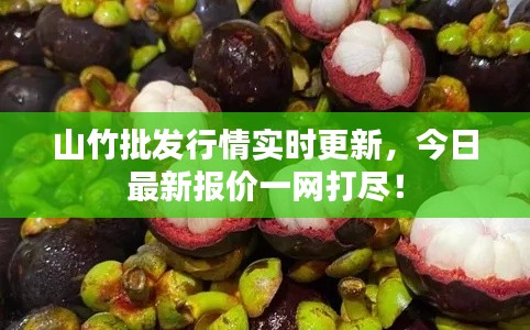 山竹批发行情实时更新，今日最新报价一网打尽！