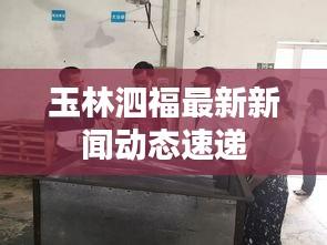玉林泗福最新新闻动态速递