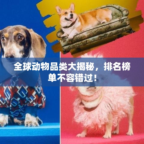 全球动物品类大揭秘，排名榜单不容错过！