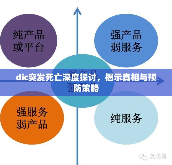 dic突发死亡深度探讨，揭示真相与预防策略