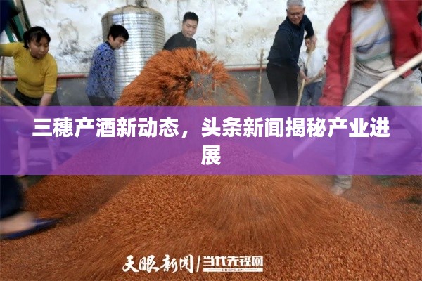 三穗产酒新动态，头条新闻揭秘产业进展