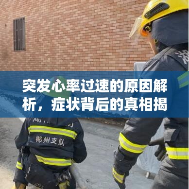 突发心率过速的原因解析，症状背后的真相揭秘
