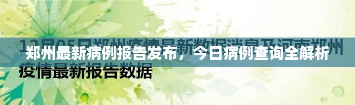郑州最新病例报告发布，今日病例查询全解析
