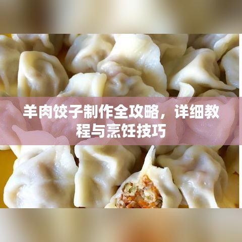羊肉饺子制作全攻略，详细教程与烹饪技巧