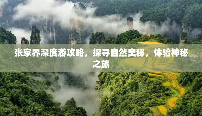 张家界深度游攻略，探寻自然奥秘，体验神秘之旅