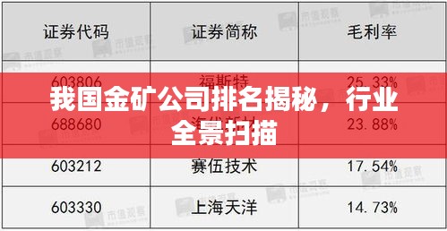 我国金矿公司排名揭秘，行业全景扫描