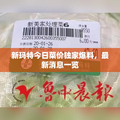 新玛特今日菜价独家爆料，最新消息一览