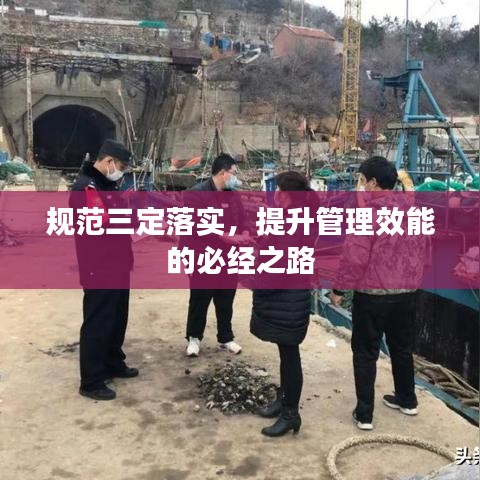 规范三定落实，提升管理效能的必经之路