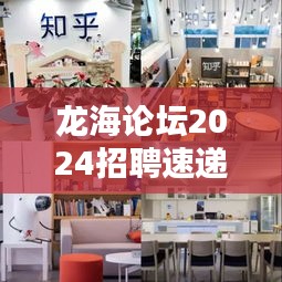 龙海论坛2024招聘速递，最新职位动态一网打尽