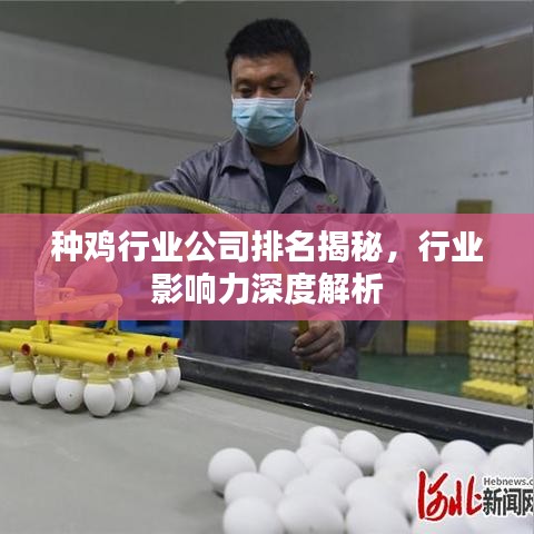 种鸡行业公司排名揭秘，行业影响力深度解析