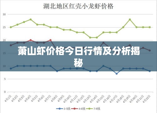 萧山虾价格今日行情及分析揭秘
