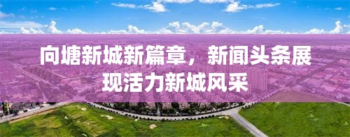 向塘新城新篇章，新闻头条展现活力新城风采