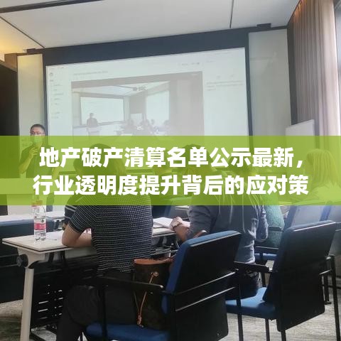 地产破产清算名单公示最新，行业透明度提升背后的应对策略