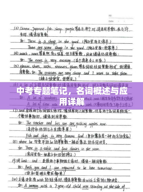 中考专题笔记，名词概述与应用详解