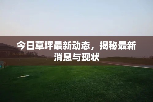 今日草坪最新动态，揭秘最新消息与现状