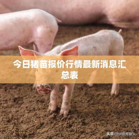 今日猪苗报价行情最新消息汇总表