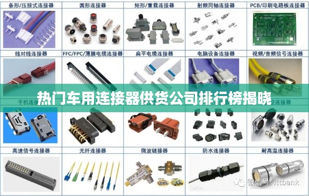 粗枝大叶 第2页