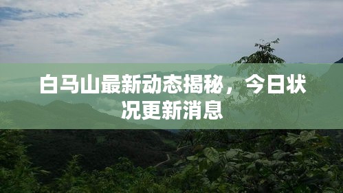 白马山最新动态揭秘，今日状况更新消息