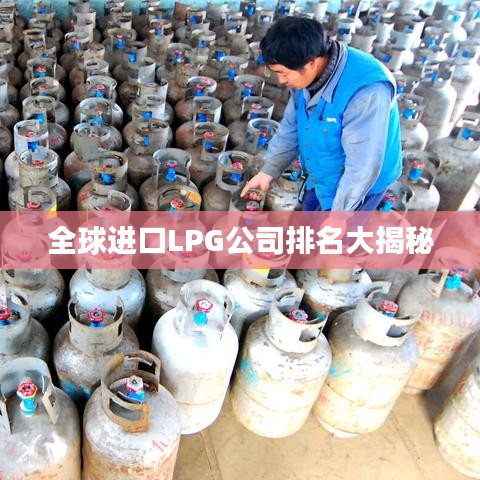 全球进口LPG公司排名大揭秘