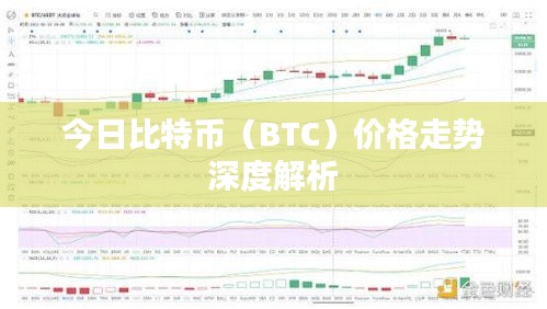 今日比特币（BTC）价格走势深度解析