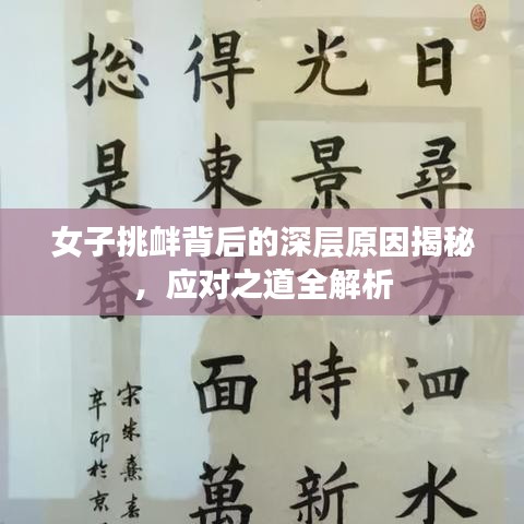 女子挑衅背后的深层原因揭秘，应对之道全解析