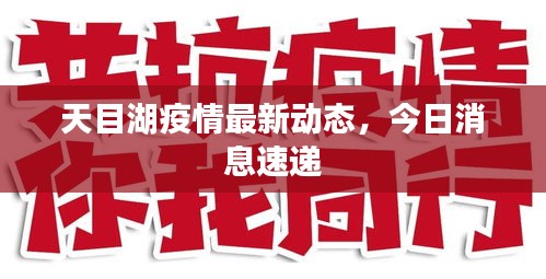 逆风飞扬 第2页
