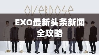 EXO最新头条新闻全攻略