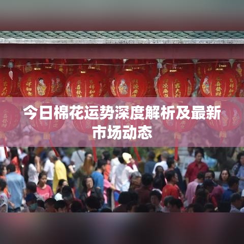 今日棉花运势深度解析及最新市场动态