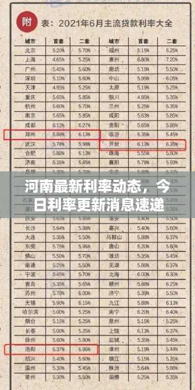 河南最新利率动态，今日利率更新消息速递