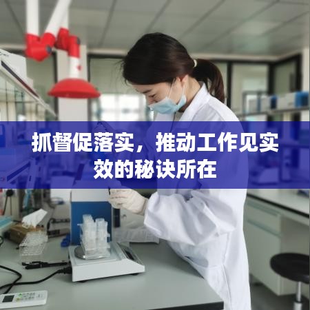 抓督促落实，推动工作见实效的秘诀所在
