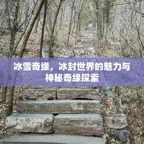 瞋目张胆 第2页