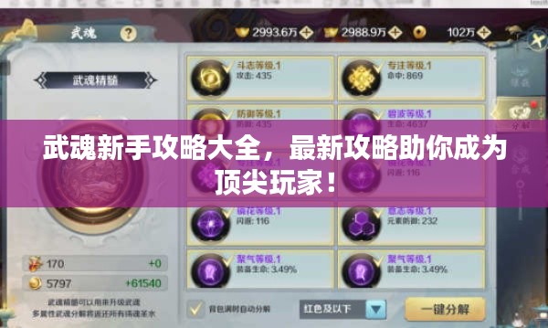 武魂新手攻略大全，最新攻略助你成为顶尖玩家！