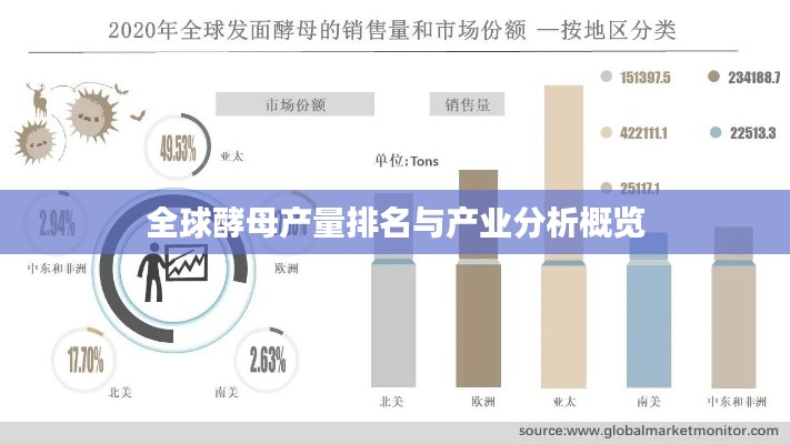 全球酵母产量排名与产业分析概览