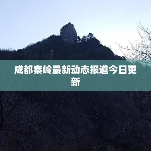 成都秦岭最新动态报道今日更新