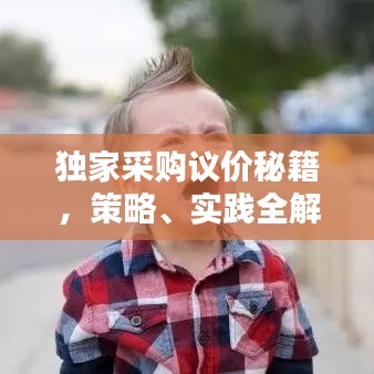 独家采购议价秘籍，策略、实践全解析