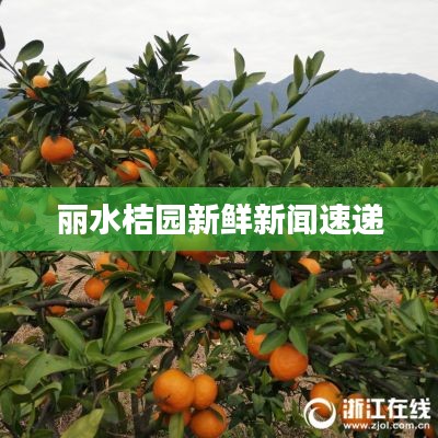 公司简介 第51页