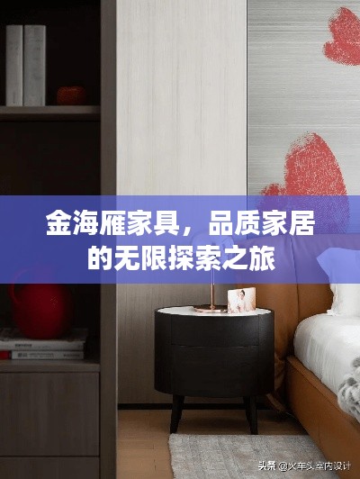 金海雁家具，品质家居的无限探索之旅