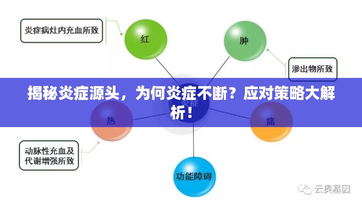 揭秘炎症源头，为何炎症不断？应对策略大解析！