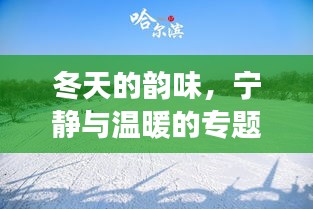 冬天的韵味，宁静与温暖的专题之旅