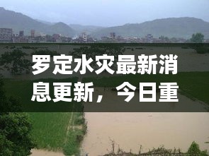 罗定水灾最新消息更新，今日重点关注！