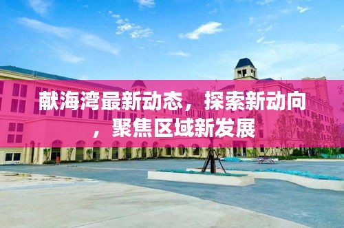 献海湾最新动态，探索新动向，聚焦区域新发展